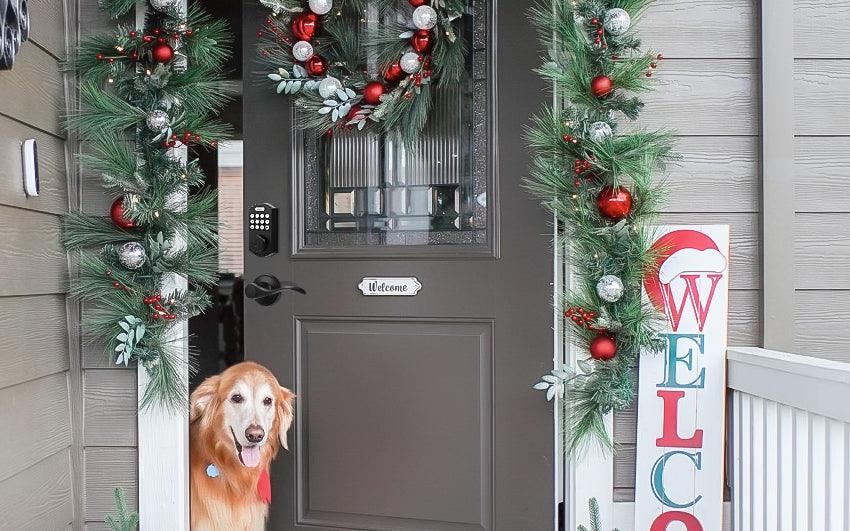 Choosing the Ultimate Security: The Safest Locks for Your Front Door - Tinewa