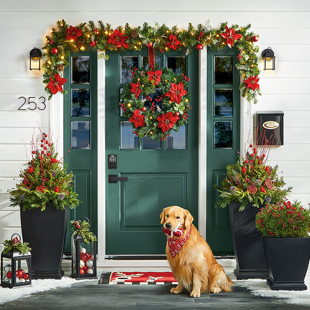 Holiday Gift Guide: Elevate Home Security with Tinewa’s Top Picks! - Tinewa