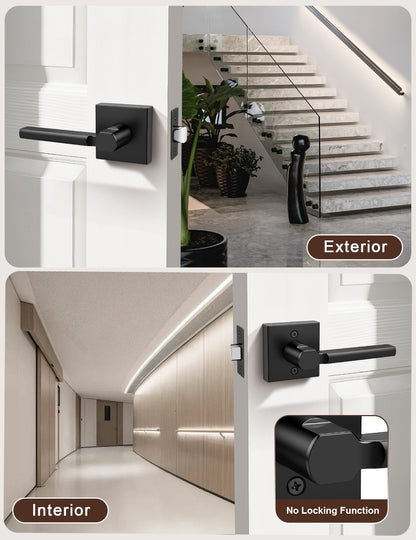 Square passage door lever interior and exterior door view